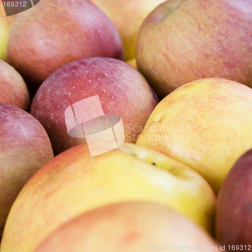 Image of Apples