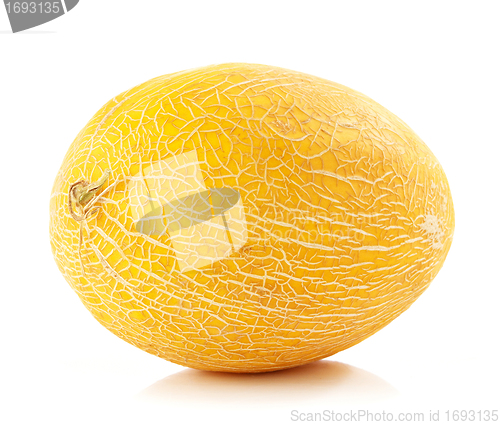 Image of fresh ripe melon