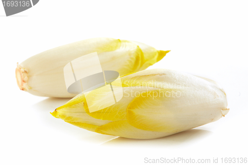Image of fresh Chicory on white background