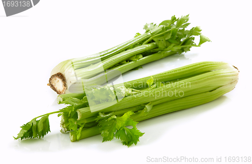 Image of fresh green celery