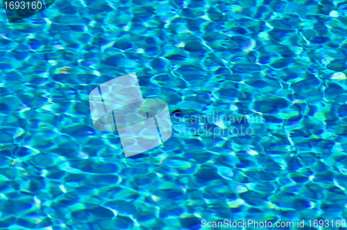 Image of Pool Water