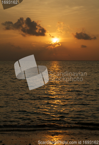 Image of Ocean beach sunset