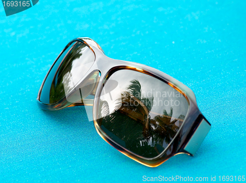 Image of Brown sunglasses with palm reflection