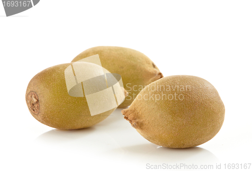 Image of fresh kiwi fruits