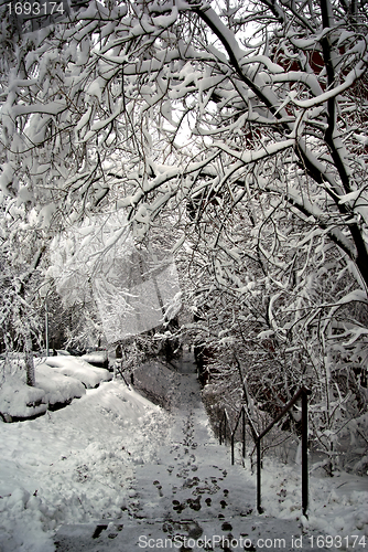 Image of Urban Snow