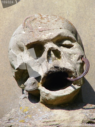 Image of Graveyard Skull