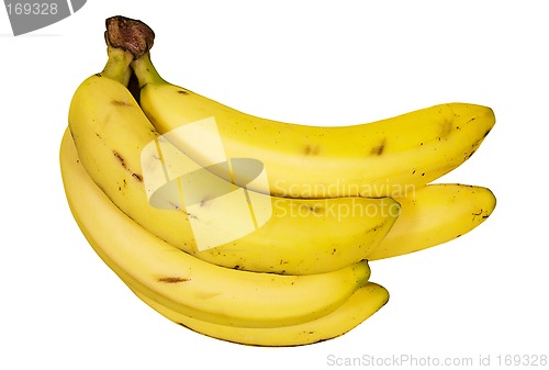 Image of Bunch of Bananas (Path Included)