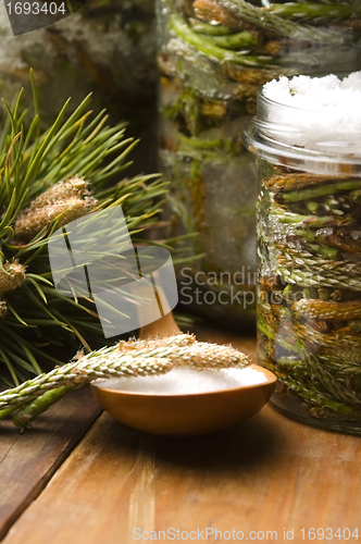 Image of Natural medicine - syrup made of pine sprouts 