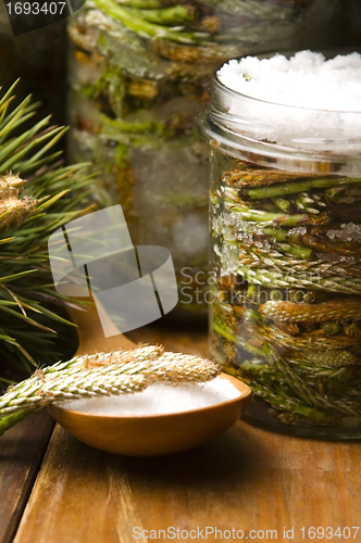 Image of Natural medicine - syrup made of pine sprouts 