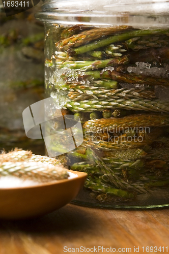 Image of Natural medicine - syrup made of pine sprouts 