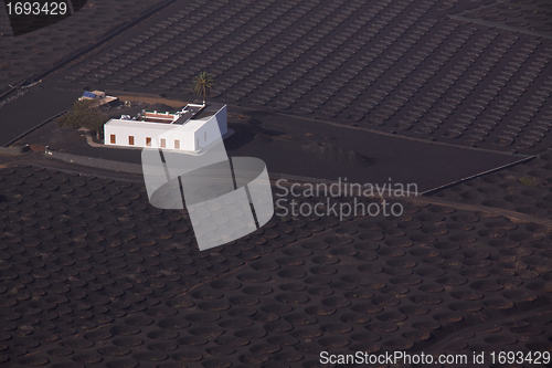 Image of Plantation on Lanzarote