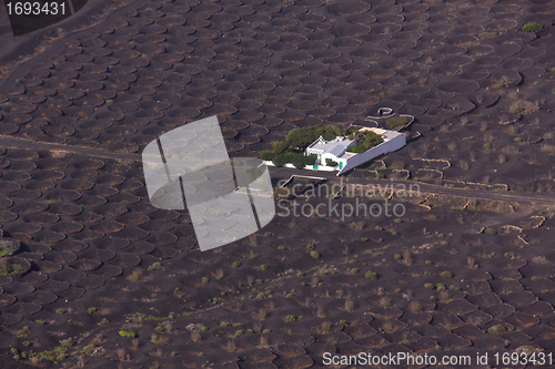 Image of Plantation on Canary Islands