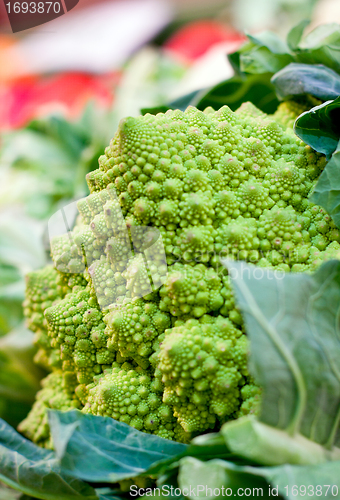 Image of fresh green romanesco on a market closeup