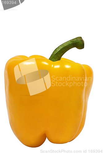 Image of Yellow Pepper w/ Path (Side View)