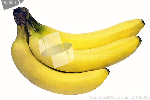 Image of Bunch of Bananas w/ Path