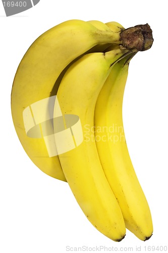 Image of Bunch of Bananas w/ Path