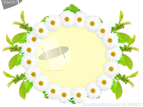 Image of Ellipse frame with white flowers