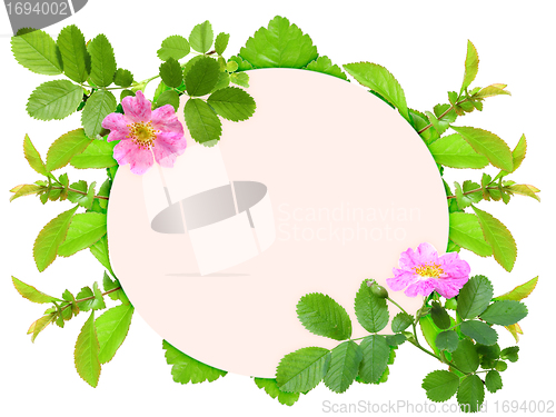 Image of Frame with pink dog-rose flowers