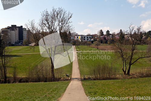 Image of beautiful sunny spring day in the forest 