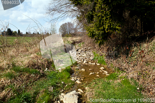 Image of beautiful sunny spring day in the forest 