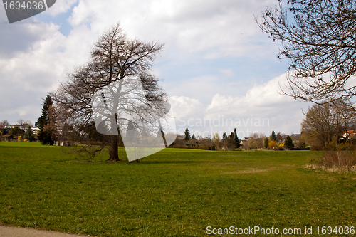 Image of beautiful sunny spring day in the forest 