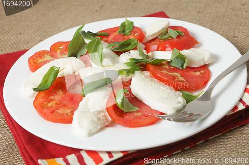 Image of Caprese salad