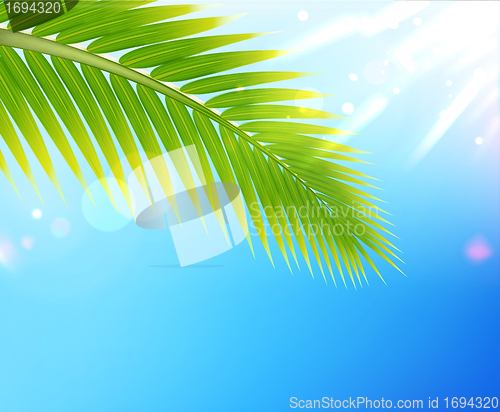 Image of Tropical summer background