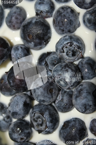 Image of blueberry quark