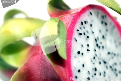 Image of pitahaya