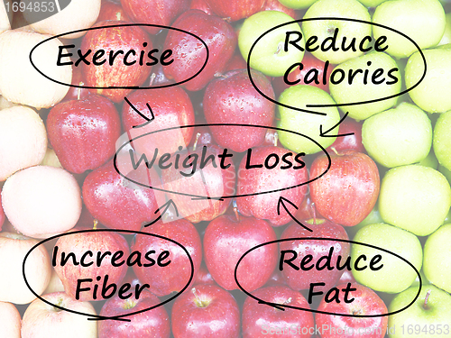 Image of Weight Loss Diagram Shows Fiber Exercise Fat And Calories