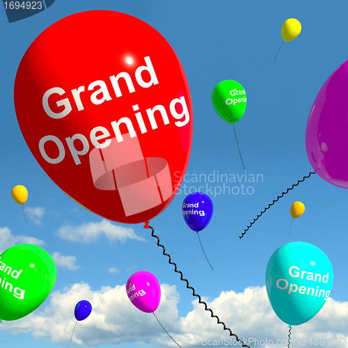 Image of Grand Opening Balloons Showing New Store Launch 