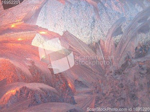 Image of ice patterns and morning sunlight