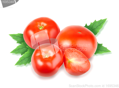 Image of Heap of fresh red tomatos