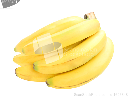 Image of Group of yellow fresh bananas