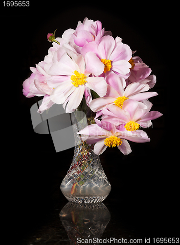 Image of Flower arrangement of Peonies