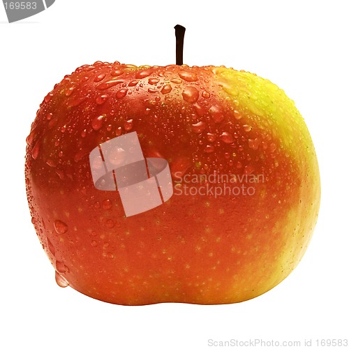 Image of Apple Red-Yellow w / Raindrops (Path Included)