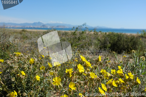 Image of Mediterranean spring