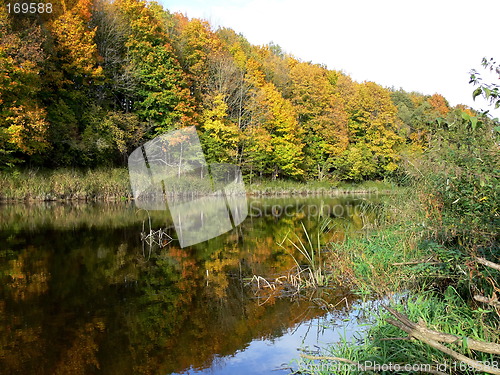 Image of Rural Landscape
