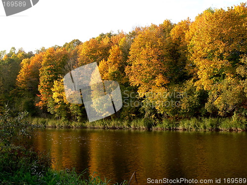Image of Rural Landscape