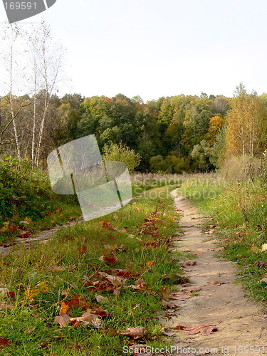 Image of Rural Landscape