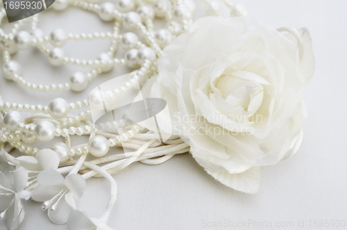 Image of White Rose
