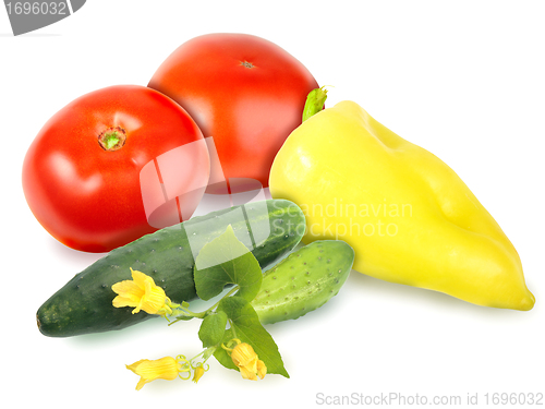 Image of Fresh motley vegetables