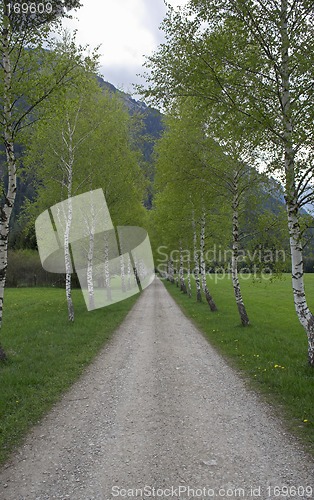 Image of The road is long