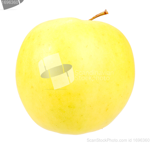 Image of Big fresh yellow apple