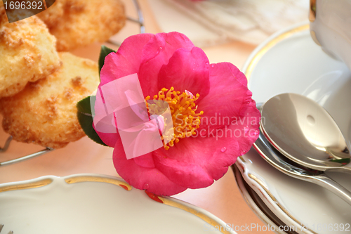 Image of Camellia With Food