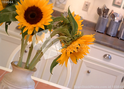 Image of Sunflower Kitchen