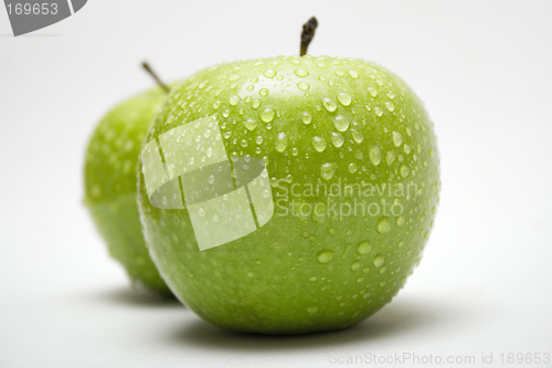 Image of Two Green Apples w/ Raindrops (Side View)