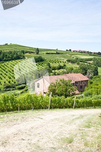 Image of Italian villa with vineyard: spring season