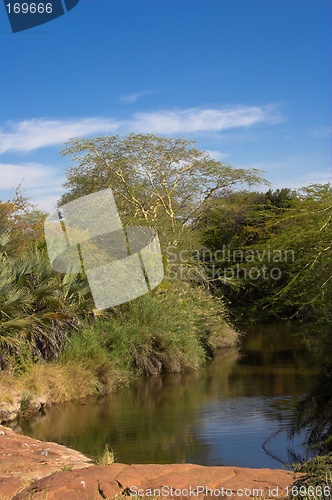 Image of Waterhole