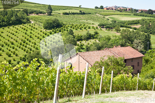 Image of Italian villa with vineyard: spring season